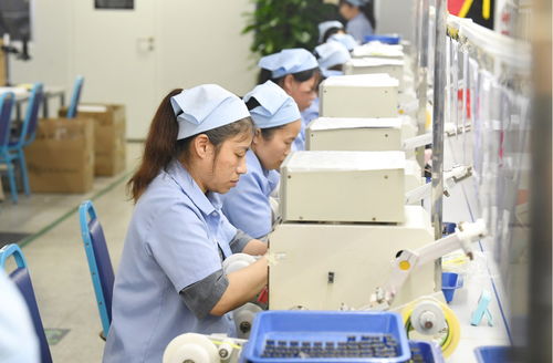 袁州區 產品出海勢頭勁，企業生產倉儲忙